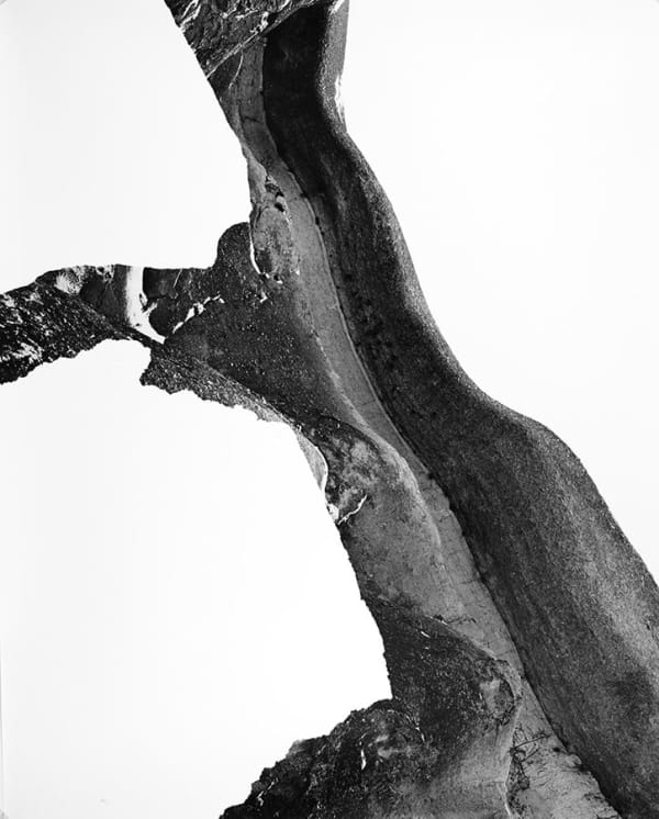 Douglas Mandry, Stone 001, 2017