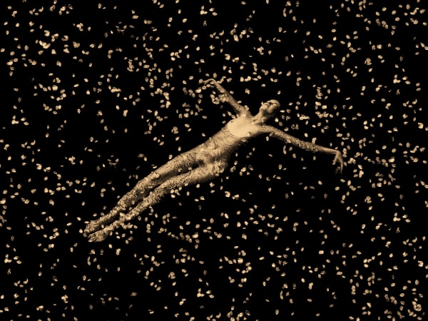 Paul Cupido, Flower Bath, 2025