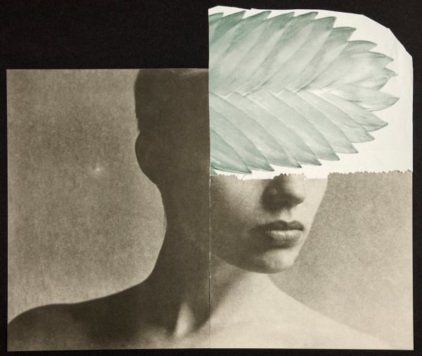 Miriam Tölke, Foliage, 2020