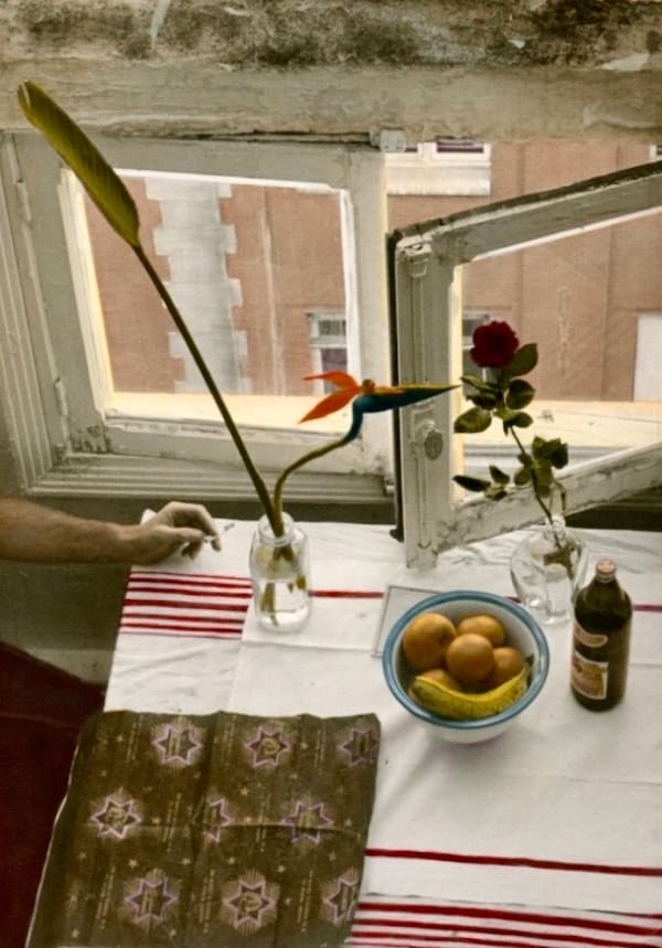 Ann Rhoney, Bird of Paradise, Vintage, 1977