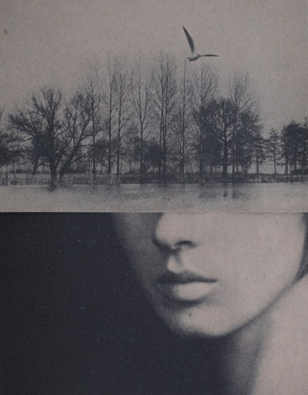 Miriam Tölke, Snapshot, 2022