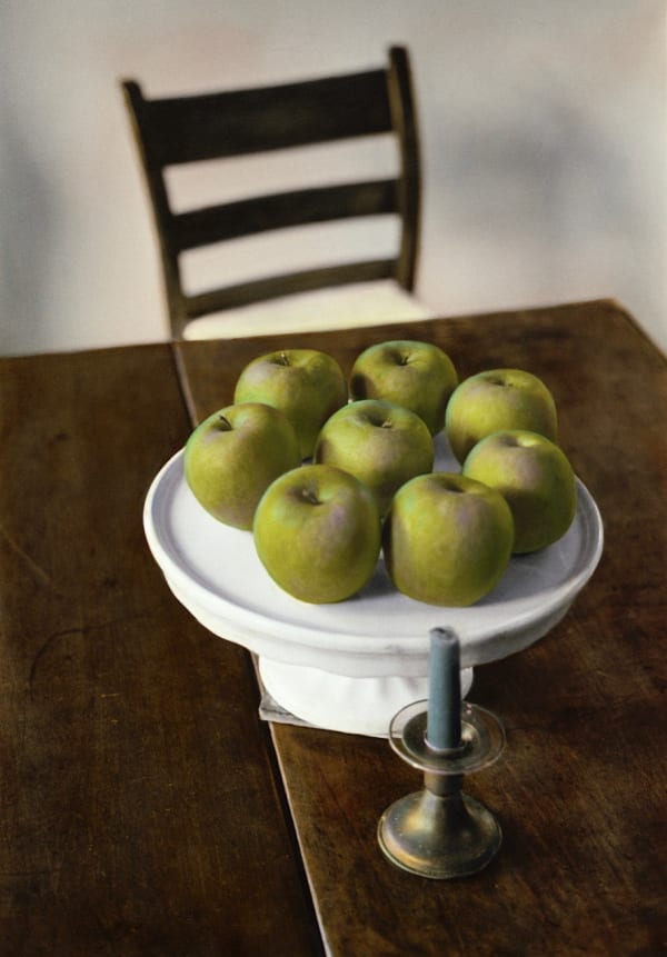 Ann Rhoney, Virginia's Apples, 1991
