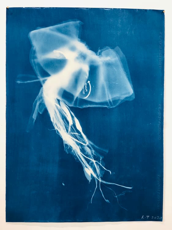 Rachel Thomson, Panoptic 4, 2020