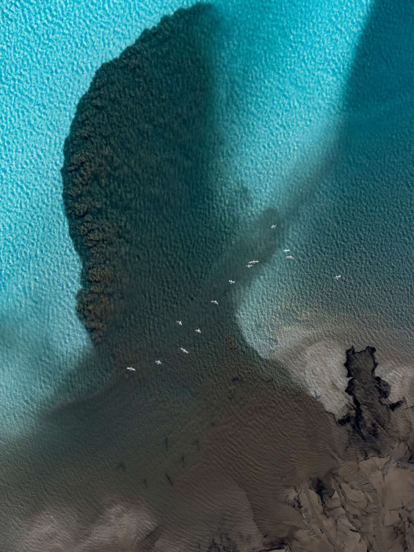 Kacper Kowalski, Toxic Beauty #76, Poland , 2021