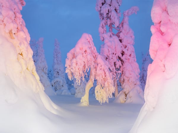 Inka & Niclas, 4K Ultra HD XXXII, 2019