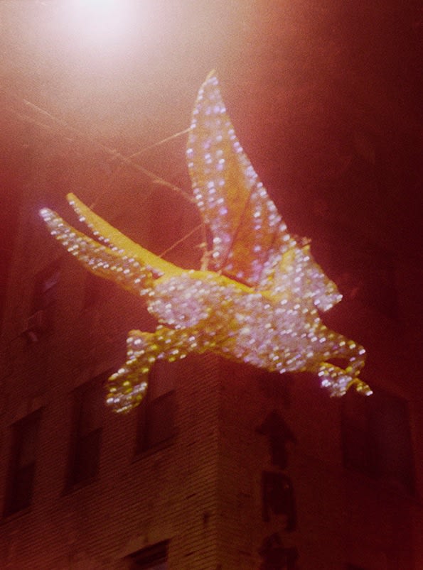 Martin Bogren, Metropolia #24, 2016-2019