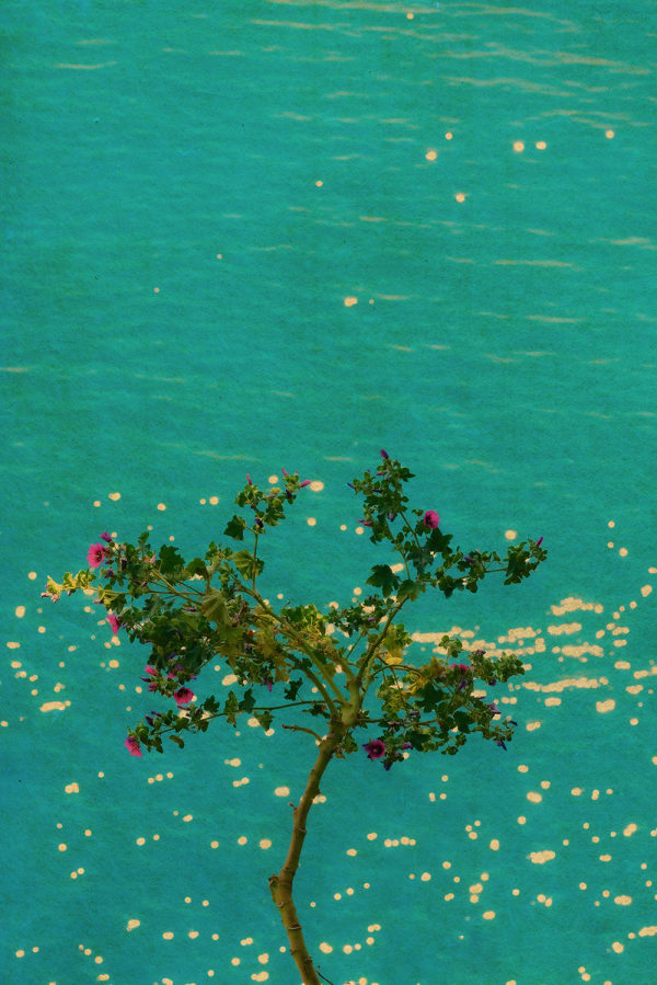 Albarrán Cabrera, The Mouth of Krishna #905, 2022/2023