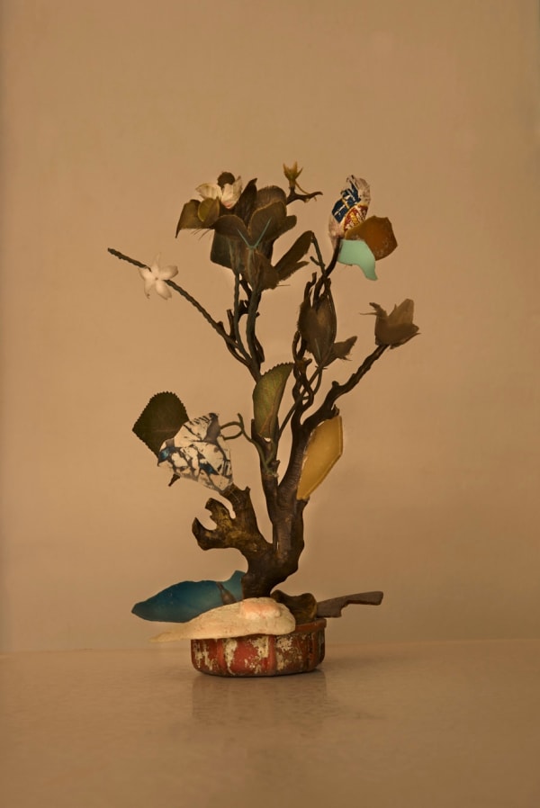 Thirza Schaap, japonais, 2018