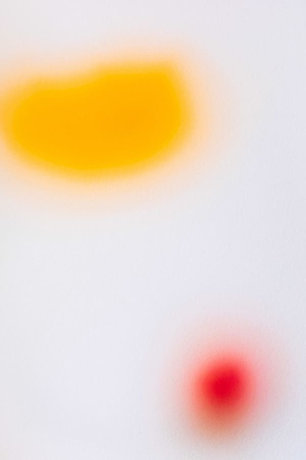 Onoko, Percept Op. 9, Japan, 2020