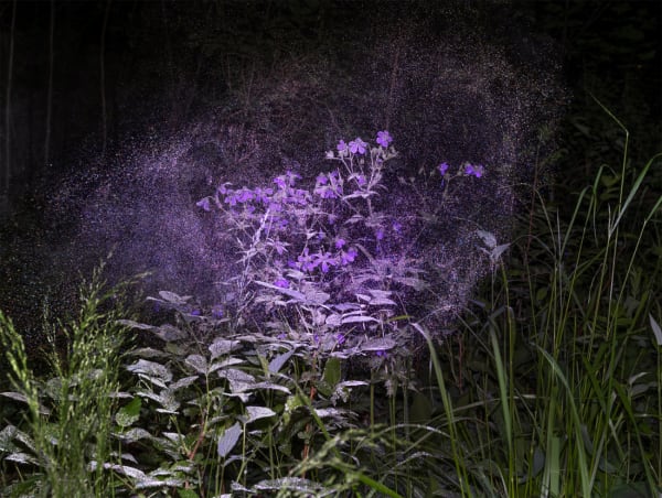 Inka & Niclas, Luminous Matter II, 2020