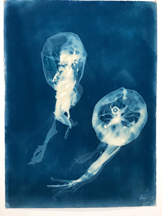 Rachel Thomson, Tanzania 1, 2013