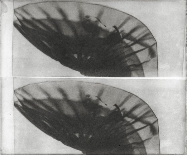 Chantal Elisabeth Ariëns, Her Own Universe/Experimental #7, 2024