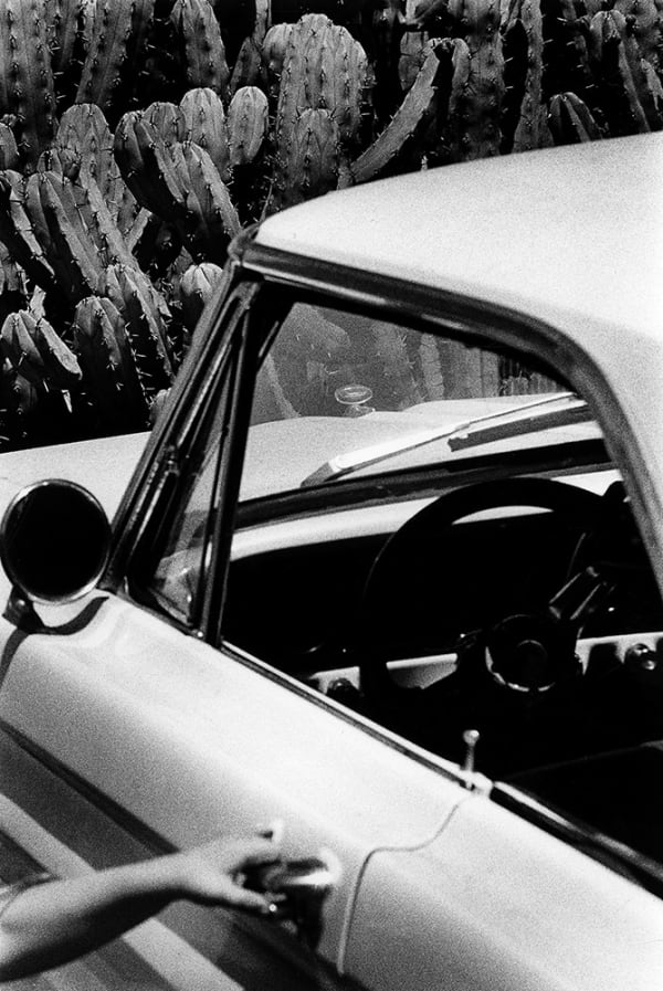 Renato D'Agostin, Archeologies Los Angeles, 2013