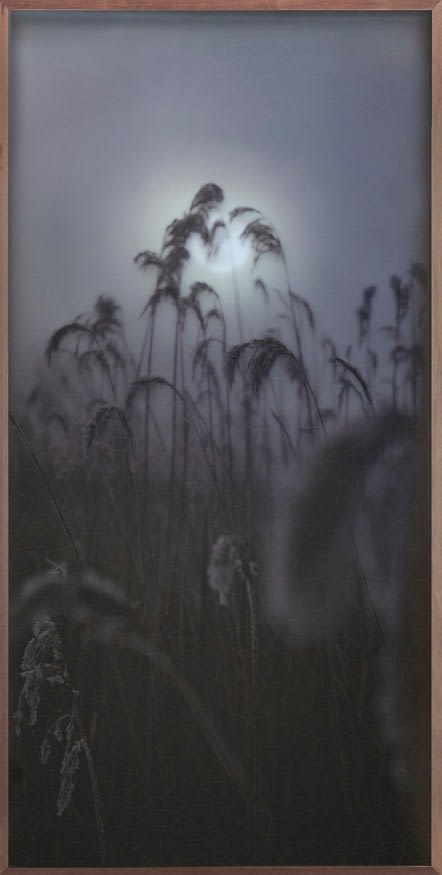 Casper Faassen, View on the Moon VI, 2023