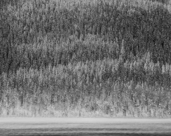 Jeffrey Conley, Snow Covered Trees and Lake Silvaplana, 2021