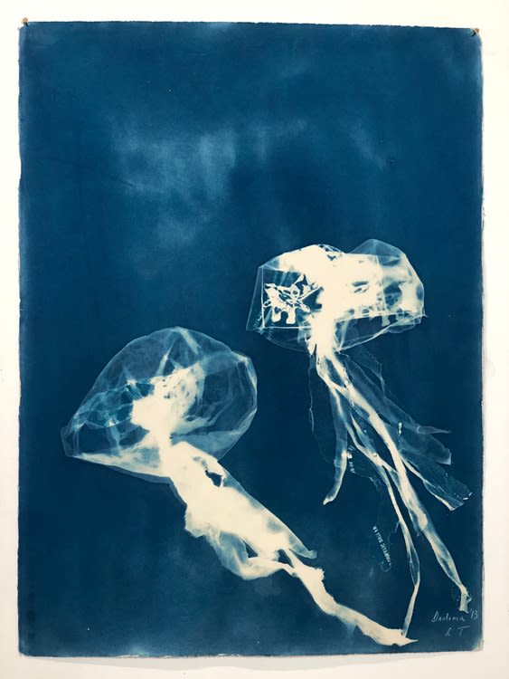 Rachel Thomson, Tanzania 2, 2013