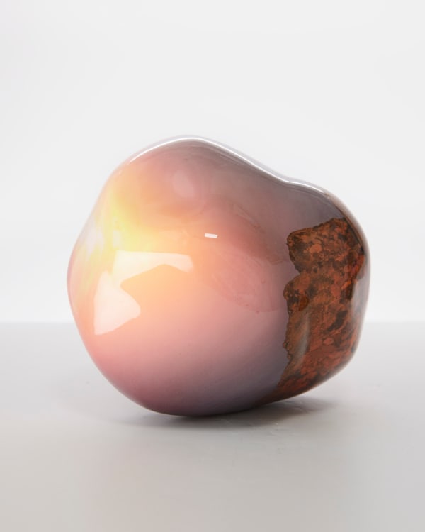 Inka & Niclas, Adaptive Colorations XX, 2022