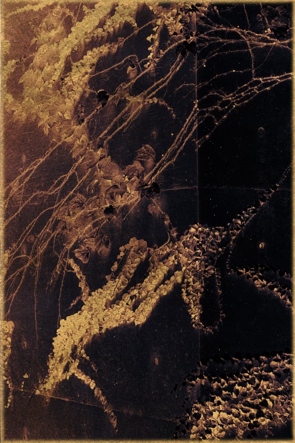 Albarrán Cabrera, The Mouth of Krishna #2001, 2016