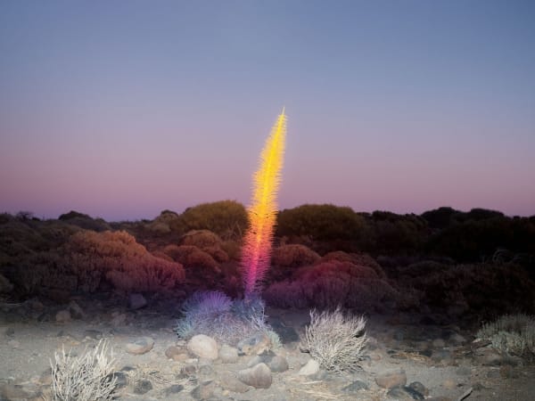 Inka & Niclas, 4K Ultra HD IX, 2018