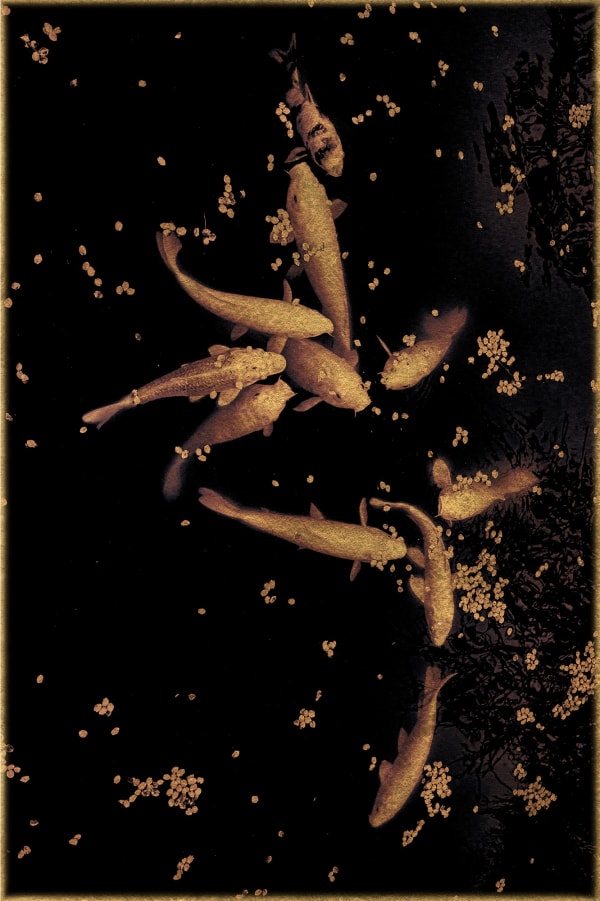 Albarrán Cabrera, The Mouth of Krishna #929, 2018