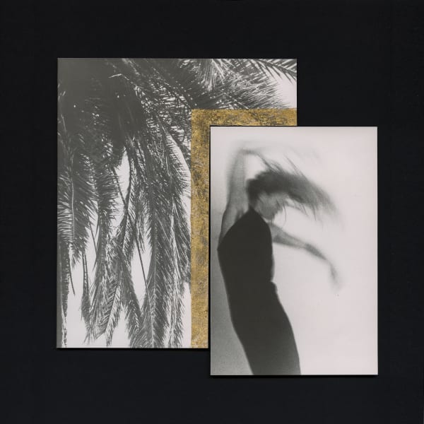 Margaret Lansink, Becoming I, 2022