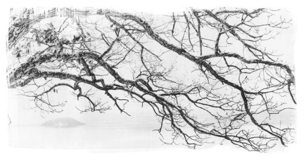 Margaret Lansink, Disguise liquid light, 2021