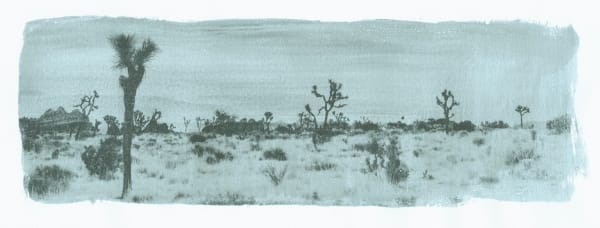 Margaret Lansink, Burn, 2022