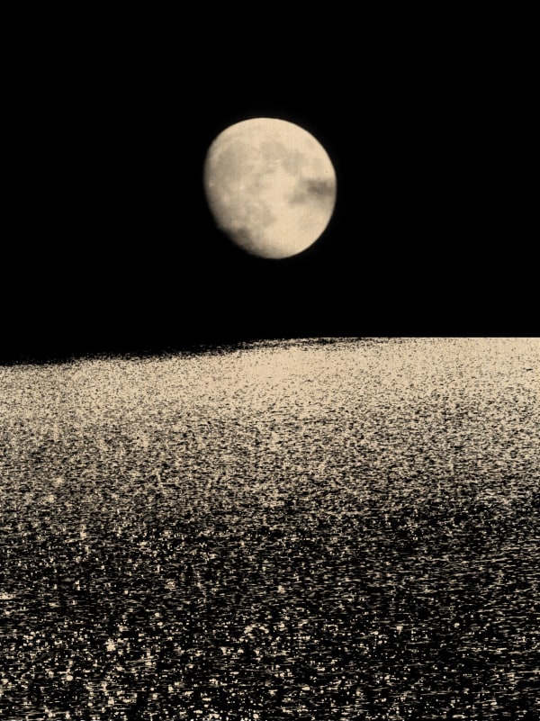 Paul Cupido, Temps I, 2023