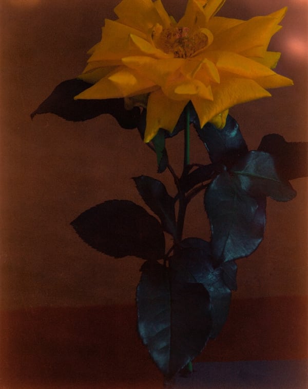 Rala Choi, Emotion Training 7, 2021