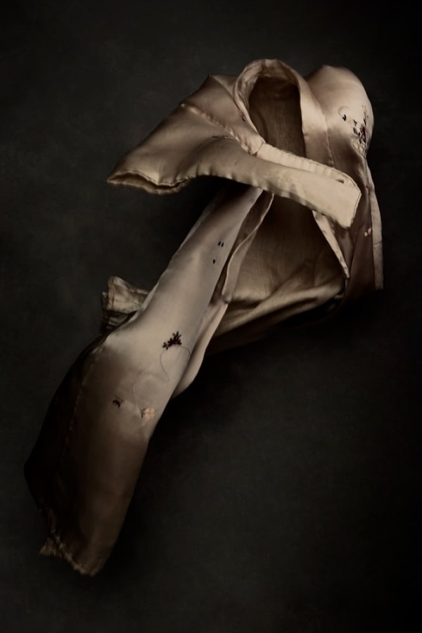 Ilona Langbroek, When the cherry blossoms fell #3, 2020