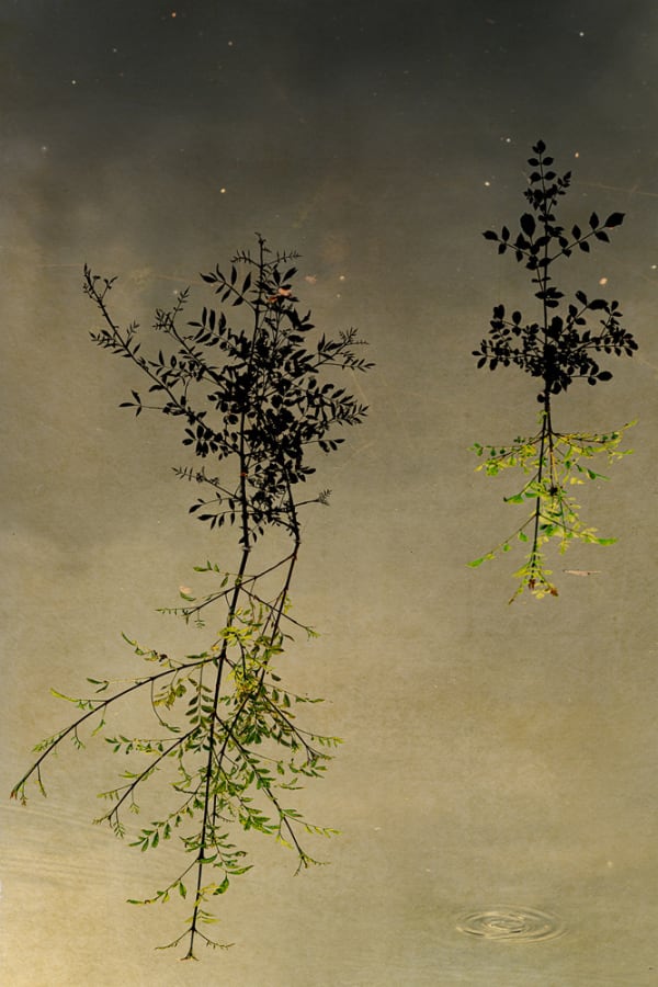 Albarrán Cabrera, The Mouth of Krishna #1032, 2024