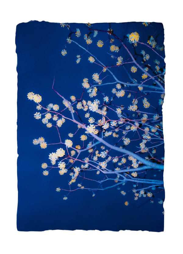 Paul Cupido, Kachou, 2023