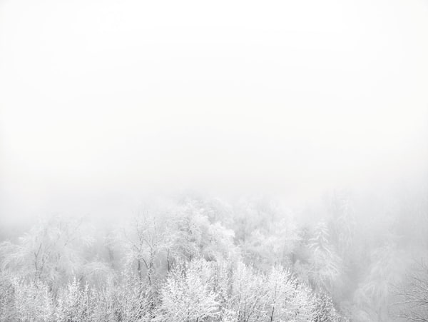 Sandro Diener, Winter Forest, Switzerland, 2013