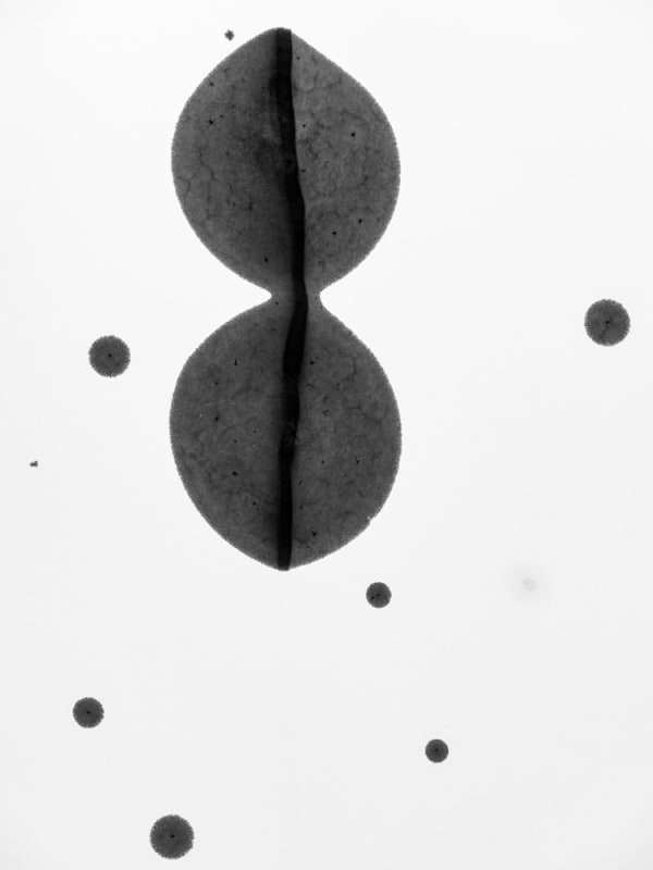 Kacper Kowalski, Composition #415, Poland, 2021