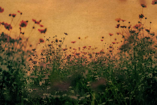 Albarrán Cabrera, The Mouth of Krishna #919, 2016