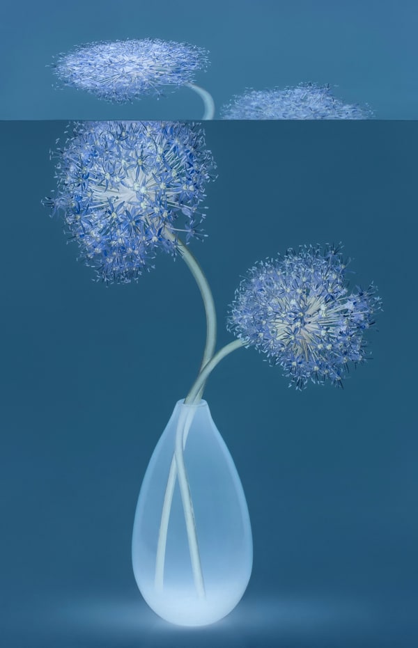 Danielle Kwaaitaal, Mirage Series - Allium, 2024