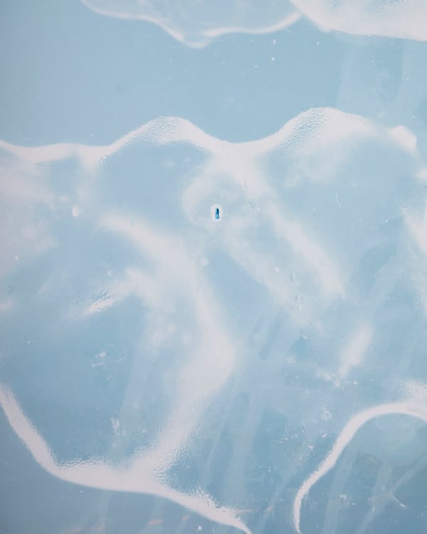 Douglas Mandry, Monuments, Aletsch #9,, 2018