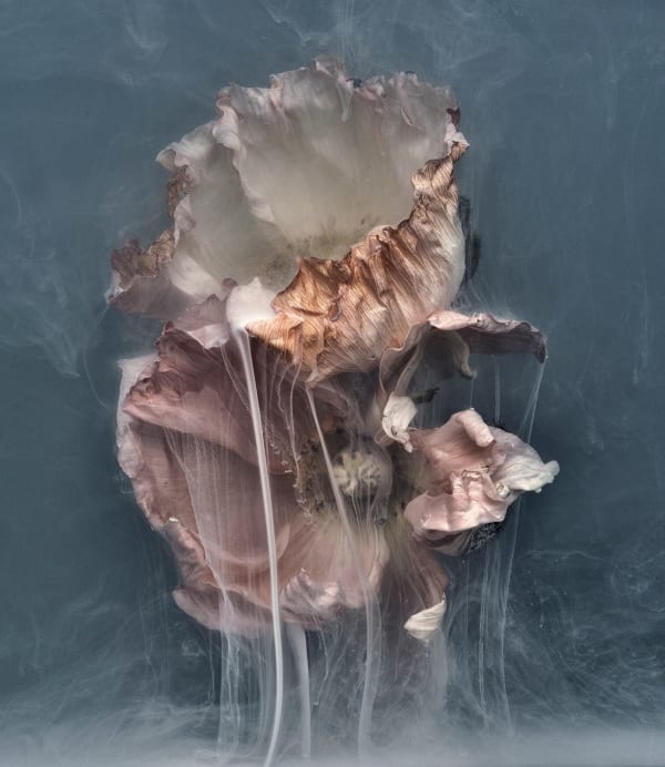 Danielle Kwaaitaal, Après Nous le Deluge Series - Liquide, 2015