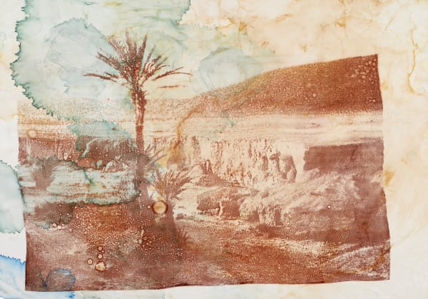 Douglas Mandry, Untitled (Palm), from the series Les Archives de la Planète, 2025