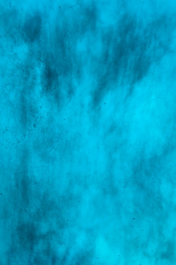 Federica Belli, Lisbon #7, 2024