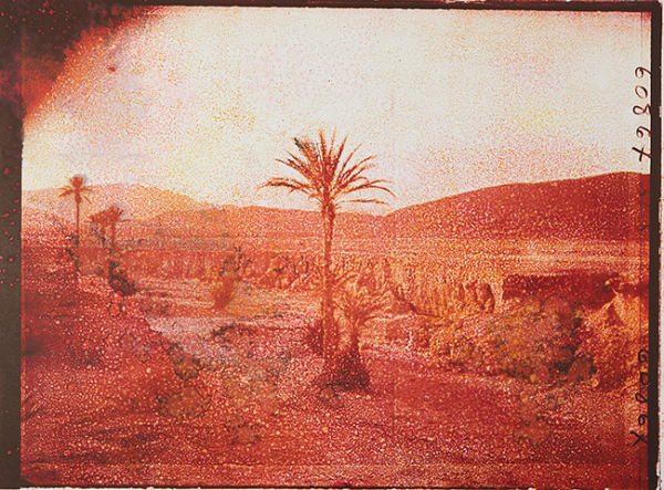 Douglas Mandry, Sans Titre (Tricolor VI), from the series Les Archives de la Planète, 2024