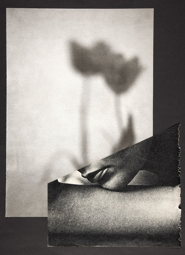 Miriam Tölke, Tulips, 2020