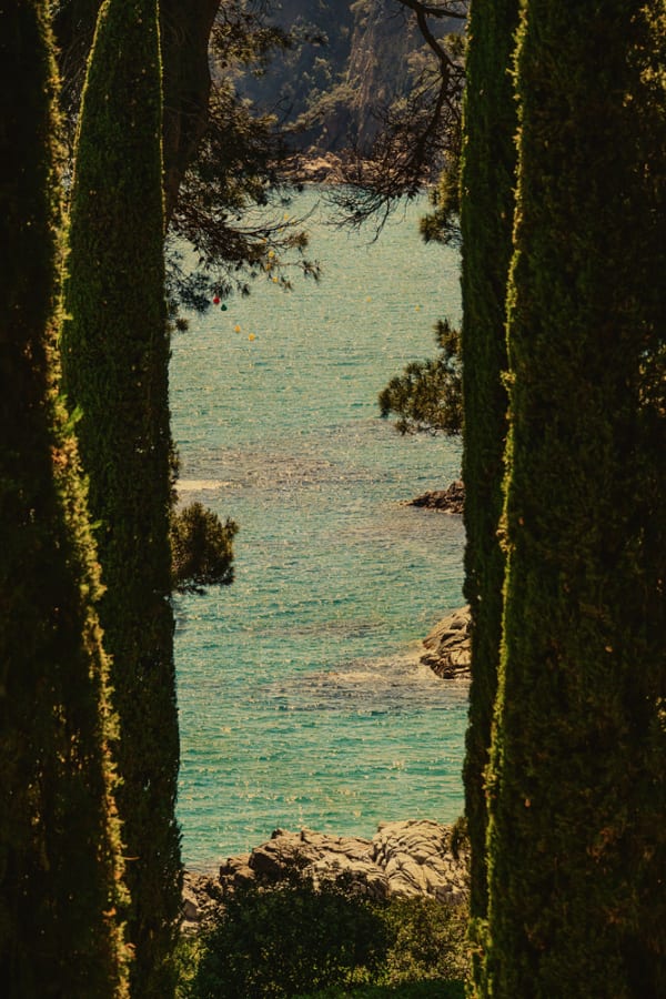 Albarrán Cabrera, The Mouth of Krishna SE #60535, 2025