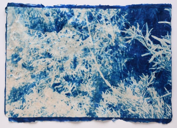 Mika Horie, A silver lining, 2020