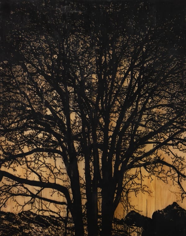 Douglas Mandry, Resilienza no. 10, Engadine, 2022