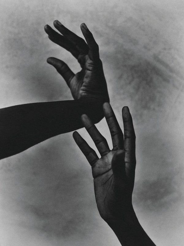 Bastiaan Woudt, Ambo Hands, 2016