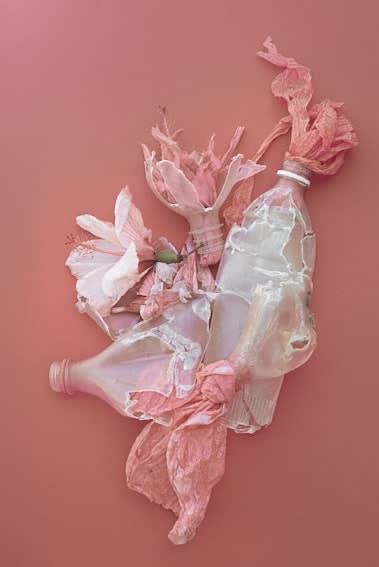 Thirza Schaap, splash of pink, 2017