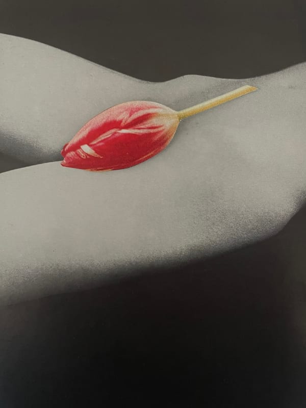 Miriam Tölke, Table Dance Nr. 89, 2023