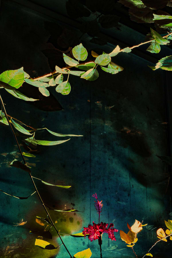 Albarrán Cabrera, The Mouth of Krishna #922, 2018