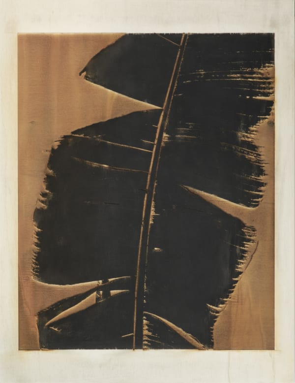 Douglas Mandry, After the Ashes #19, 2023